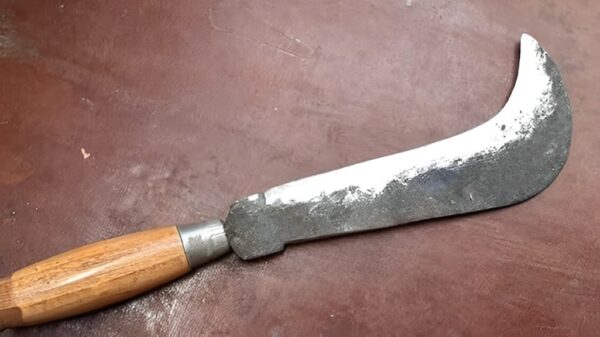 Maruti handmade Versatile Knife billhook gandasa Perfect for coconuts, other large fruits and other agricultural cutting (Handmade by Blacksmith)