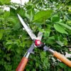 Maruti Hedge shears for grass cutter for gardening (Steel Blade) Hedge Shear Cutter With A1 Wooden Handle | Durable Steel | Hedge Trimming Shears For Garden | Garden Scissors For Cutting Plant Stem - Image 4